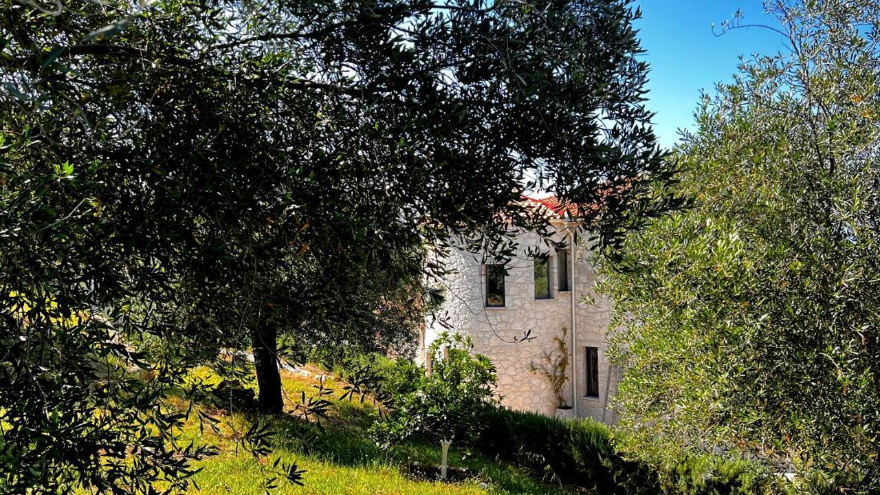 קאסיופי Villa Sania מראה חיצוני תמונה